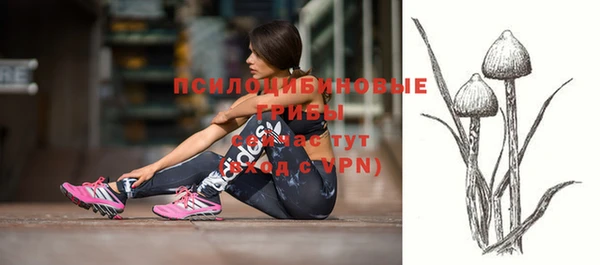 прущая мука Магас