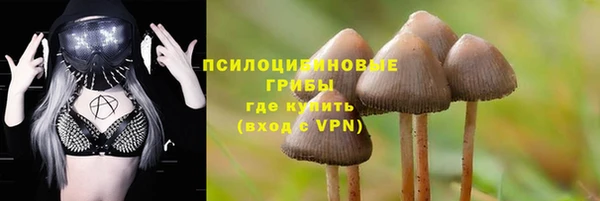 2c-b Майский