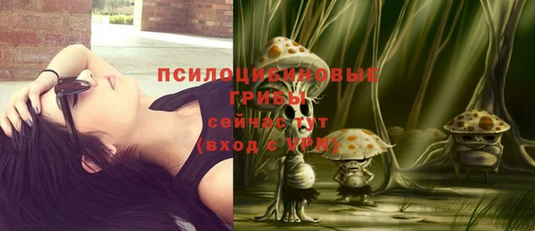 дурь Зеленодольск