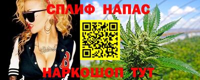гидра Кандалакша