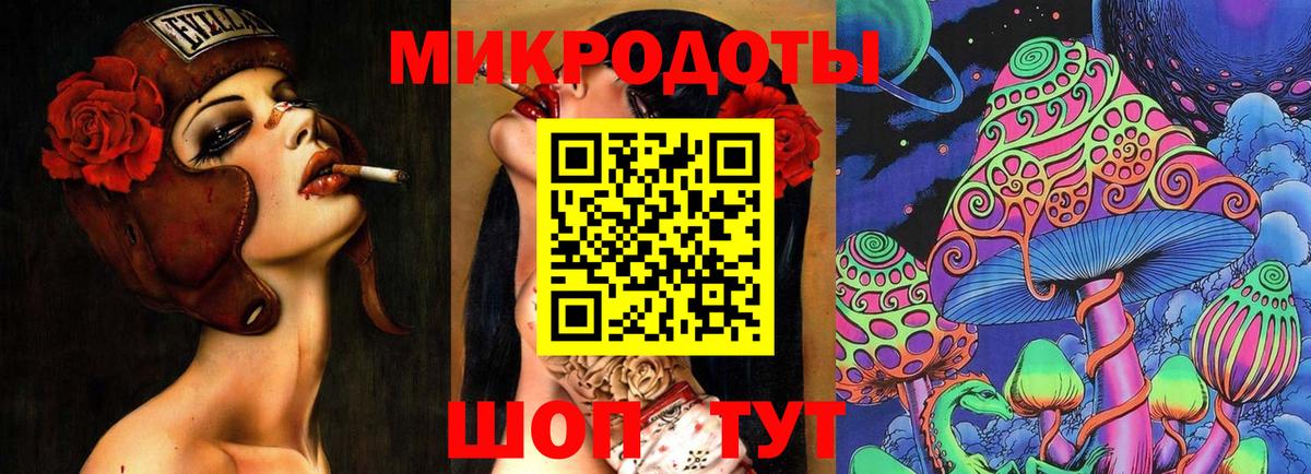 Галлюциногенные грибы Psilocybe Октябрьский