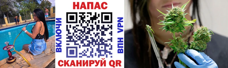 Марихуана OG Kush  Октябрьский 